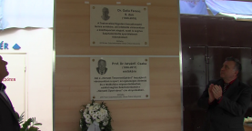 Városi Krónika