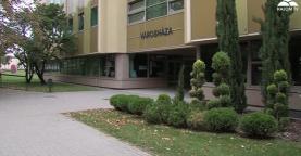 Híradó