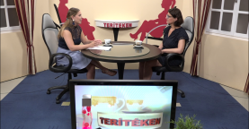 Terítéken - Schmidt Monika