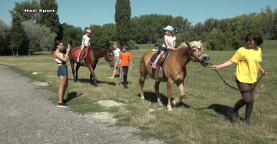 Heti Sport