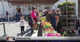 Híradó