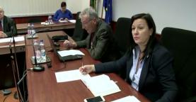 Városi Krónika